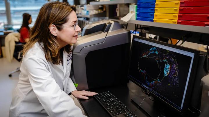 Kathryn Moore, PhD, sits at a computer console and reviews heart images.