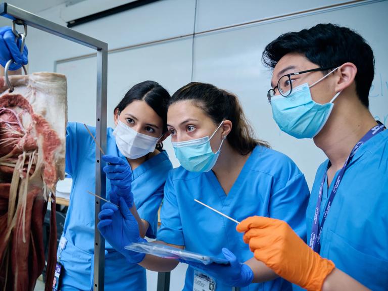 Three Grossman School of Medicine students wearing blue hospital scrubs examining musculature in a classroom.