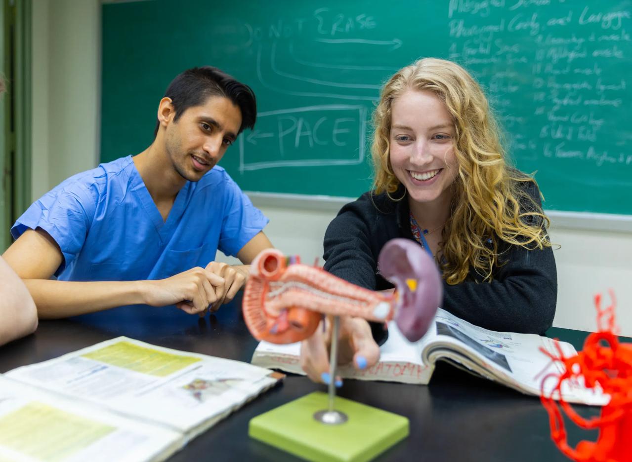 NYU Grossman School of Medicine students in the Anatomy Lab.