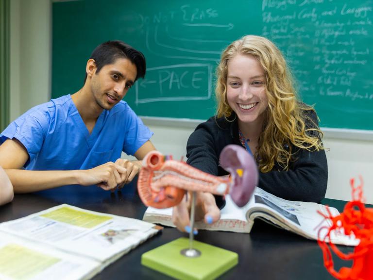 NYU Grossman School of Medicine students in the Anatomy Lab.