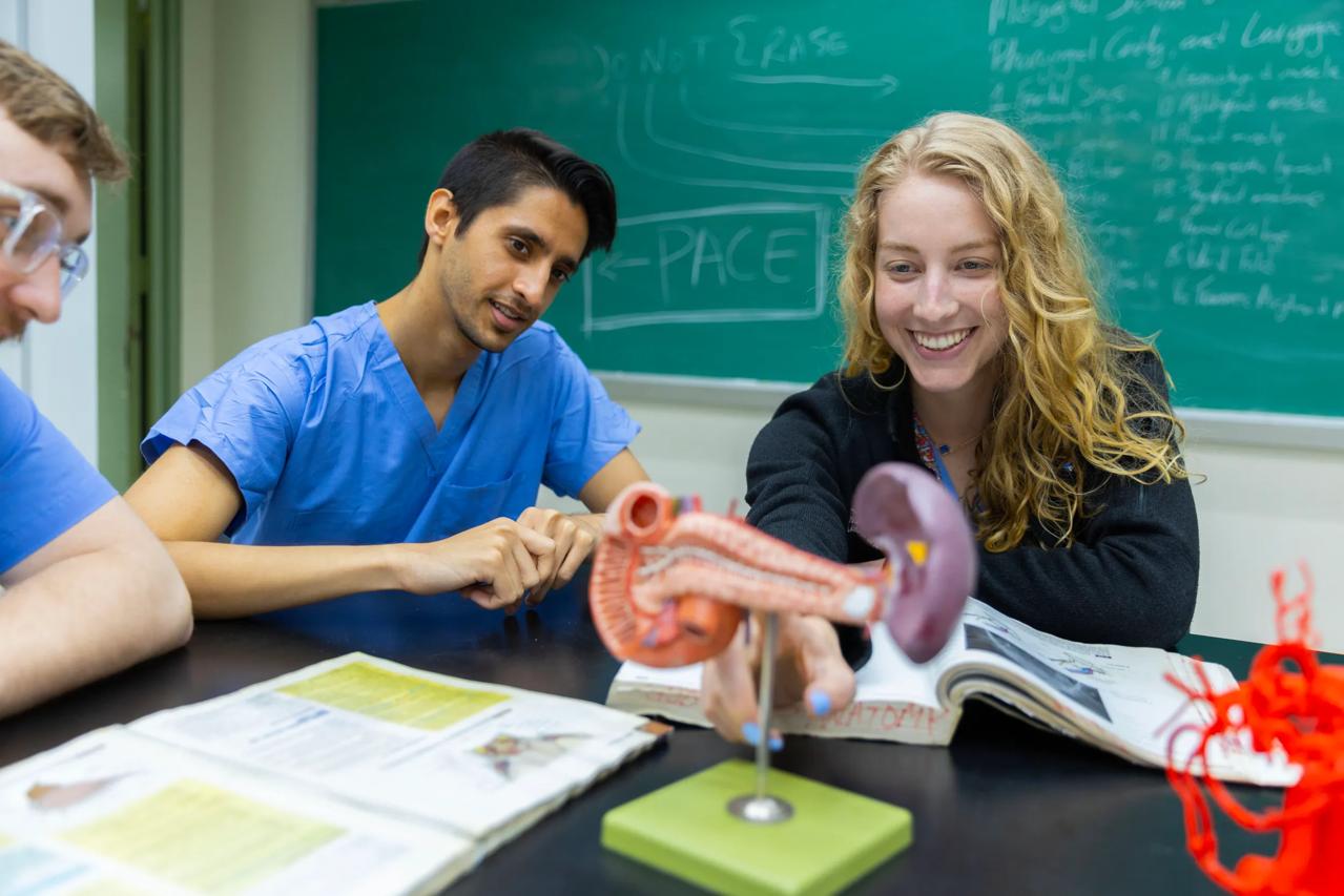 NYU Grossman School of Medicine students in the Anatomy Lab.