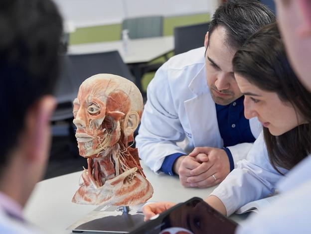 Medical students listen to a doctor explain anatomy at Grossman Long Island School of Medicine.