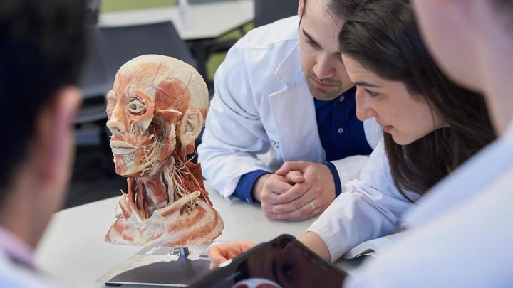 Medical students listen to a doctor explain anatomy at Grossman Long Island School of Medicine.