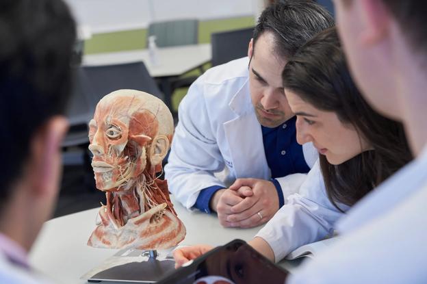 Medical students listen to a doctor explain anatomy at Grossman Long Island School of Medicine.