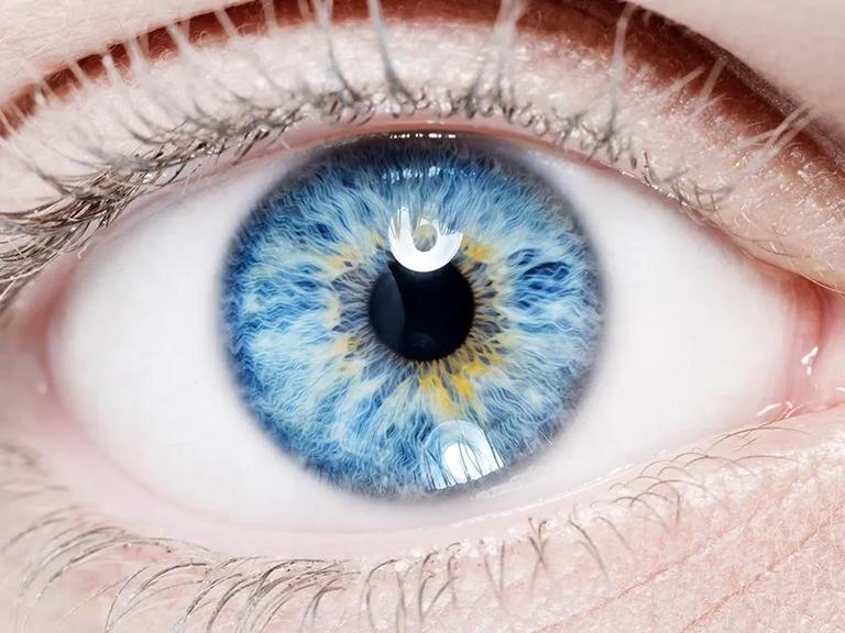 Close-Up View of Human Eye.