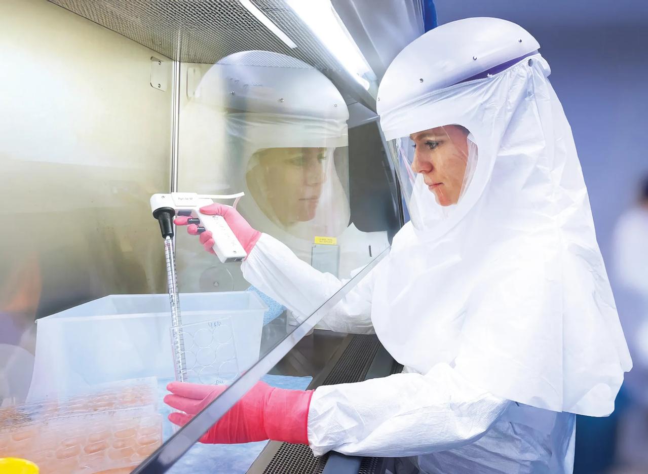 Microbiologist Maren De Vries, PhD, performs an assay to quantify infectious viral particlesand isolate viral clones.