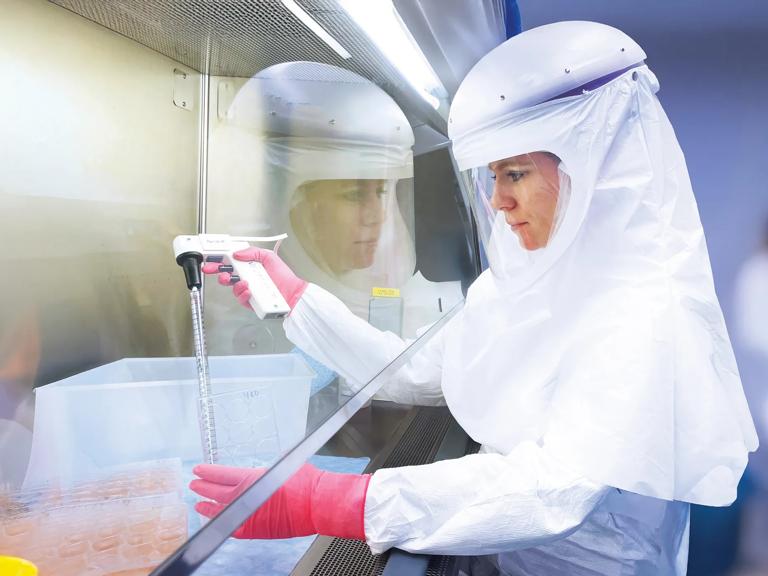 Microbiologist Maren De Vries, PhD, performs an assay to quantify infectious viral particlesand isolate viral clones.