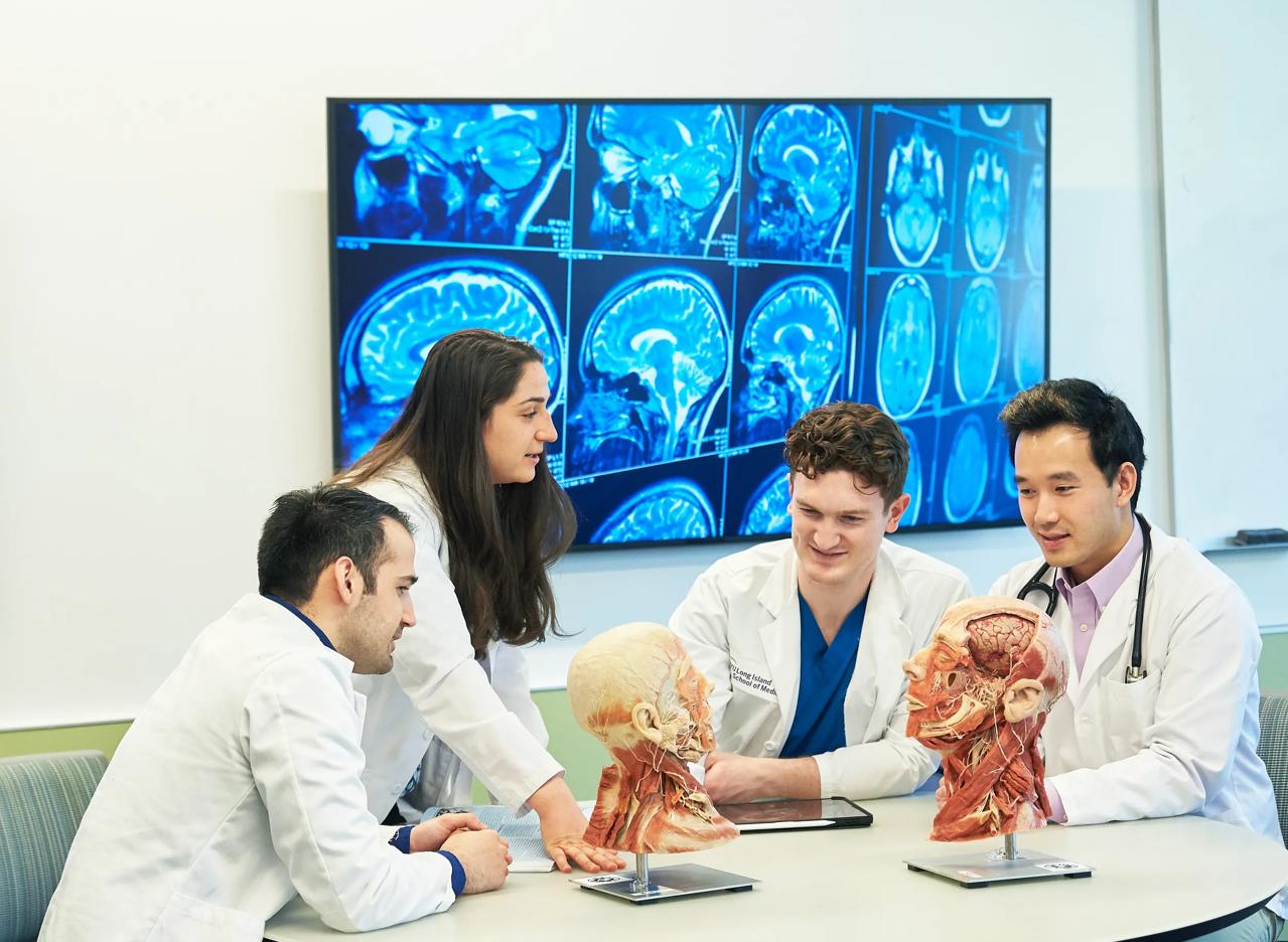 Students gather around a table at the NYU Grossman Long Island School of Medicine Research and Academic Center with anatomical figurines and a background of x-ray images.