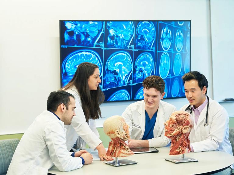 Students gather around a table at the NYU Grossman Long Island School of Medicine Research and Academic Center with anatomical figurines and a background of x-ray images.