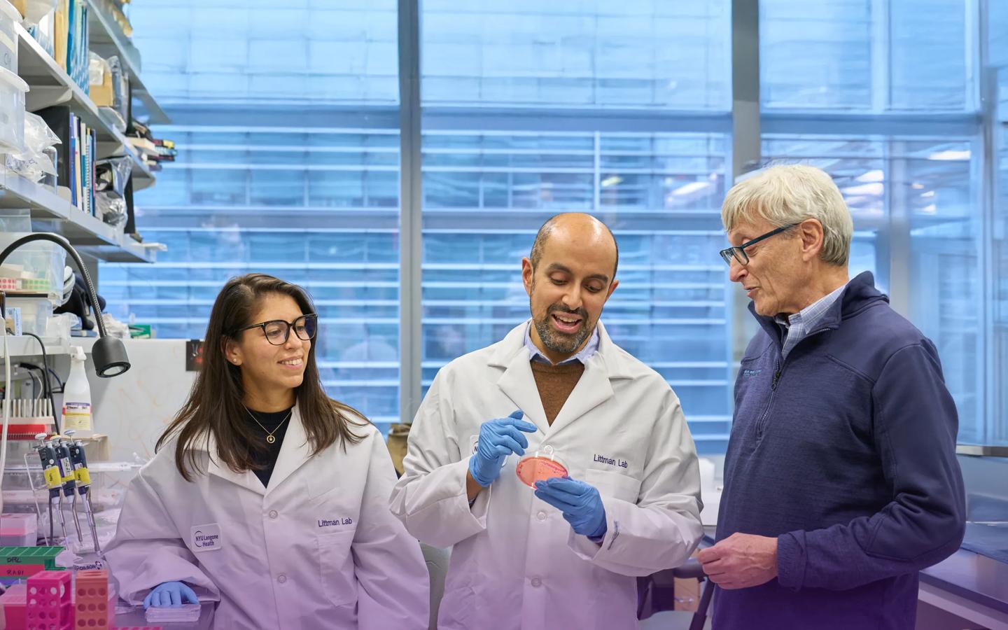 Zoila Areli Lopez-Bujanda, PhD, Rabi Upadhyay, MD, and Dan Littman, MD, PhD, examine a petri dish at the Alexandria Center for Life Sciences at NYU Langone.