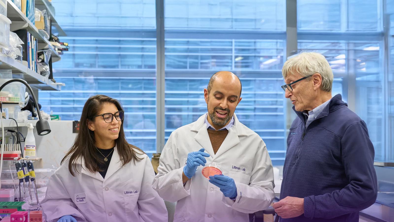 Zoila Areli Lopez-Bujanda, PhD, Rabi Upadhyay, MD, and Dan Littman, MD, PhD, examine a petri dish at the Alexandria Center for Life Sciences at NYU Langone.